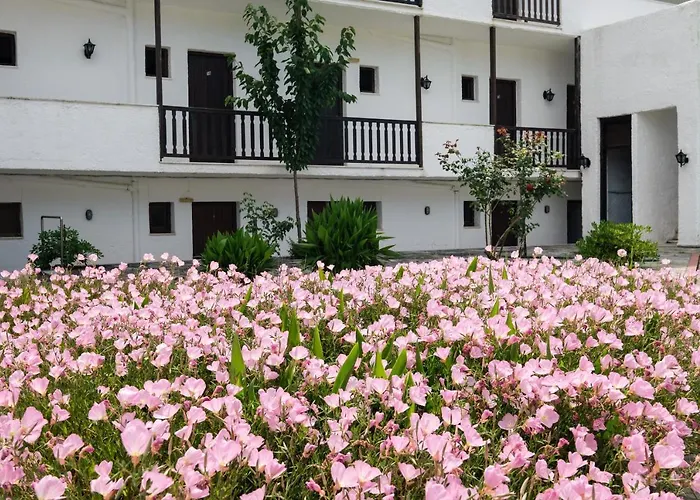 Hotel Silver Beach Koukounaries *